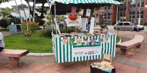 Livros dispostos na Feira de Artesanatos que acontece na Praça central de Guarani/MG